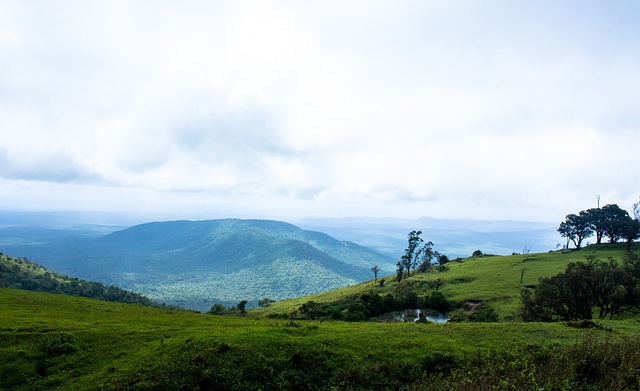 往是出于对 往是出于对