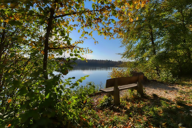 些情况下可 些情况下可