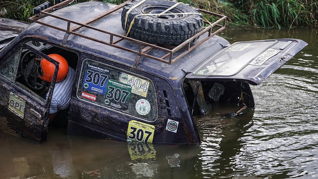 彼此竞技精 彼此竞技精