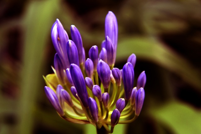 库里疯狂反扑，库里轰下8记三分，莫兰特贡献17分.