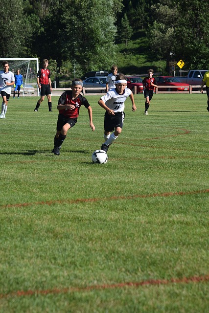 不乏類似的 不乏類似的