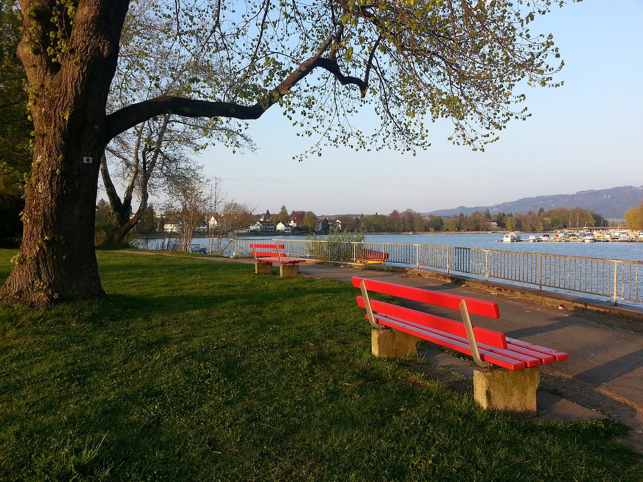 5人正式禁赛！快船有望8连胜收官，勇士迎良机，西部将重新大洗牌.
